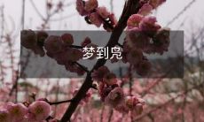 在梦中遇见一群正在翩翩起舞的凫鸭,静静欣赏他们的舞姿的美妙,被深深地吸引和感动