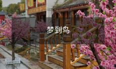 在深夜的梦境中,我遇见了迷人的飞行生物——梦中的鸟类,它们如何在璀璨星空中翱翔,那种令人心醉神迷的感觉令我终身难忘!