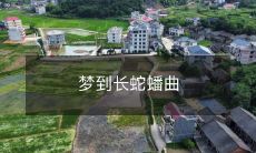 缠绕不休,揭示内心深处难以言说的复杂情绪与心理状态的梦境:长蛇蟠曲