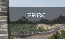 深夜的梦境中如幻如真,我竟然梦到了一种色彩缤纷的花蛇,迎面而来的绚丽景象让我仿佛陷入了一个神奇的世界!