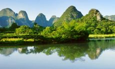 预测2023年:生肖狗将迎来强劲的正财运和运气浓郁的幸福生活!