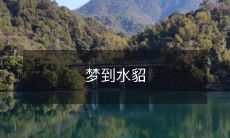 的意义是什么?追溯水貂文化背景,揭示梦境中的隐喻和象征,深入探究潜意识的含义与启示!