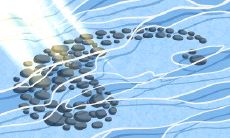 解读朝鲜传统医药经典-《东医宝鉴》,探究其历史由来与内容要点