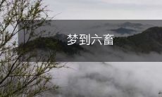 在梦中遇见六畜,包括牛、羊、猪、鸡、鸭和驴,可能暗示了什么?