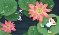 分析:探讨在大暑这一特定时期出生的人的性格特点!