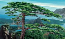 正月初八是拜财神的日子,了解拜财神的起源和由来