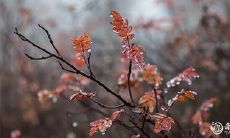 命理预测的范围和精度:从八字算命到八字测命,究竟能涵盖多少事项和层次?