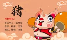 属猪人今年适宜考驾照吗?如何在考驾照中避免影响自身命运的误区?需要关注什么注意事项?