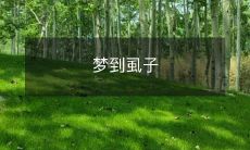 在梦中见到身上爬满虱子的可怕情景