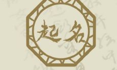 2023年3月3日出生的宝宝,如何选择典雅清新的起名?全面指南来袭,汇聚最新、最全的起名大全!