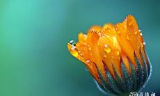 骨重八字,预示好命?若骨重超过几两更为佳!