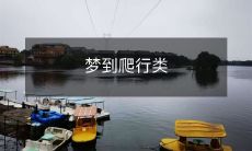 动物的梦境:满是爬行类生物的神秘世界