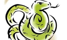 做梦梦见蛇,究竟代表什么意义?这个梦境所传递的隐喻、暗示和符号暗示是什么?您的梦想中所描绘的蛇,是否是好兆头或坏预兆?让我们深入探讨梦境中蛇的象征意义和精神含义吧!