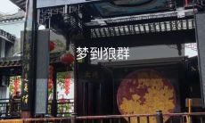 围攻的恐惧:我在梦中遭遇狼群的生死厮杀场面!
