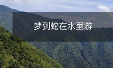 在梦中观赏蛇在蜿蜒游动于水中场景的经历