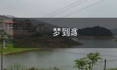 我梦到一个毛茸茸的豸,它的身上长着五颜六色的斑点,眼睛明亮而神秘,似乎象征着某种令人神往的梦境世界!