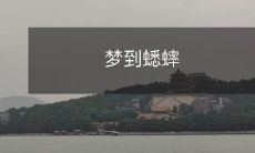 尤其是在深夜,当你沉浸在宁静的睡眠之中,突然间梦到蟋蟀——一种小小的昆虫,却能带给你深刻且神秘的感受