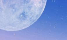 2023年属相为马的人将会有幸福如意的好运气,生活更加美好!