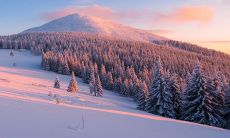 穿着生肖猪的幸运衣,2023年你将在工作中获得事半功倍的表现