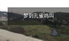 在梦境中听到孔雀的鸣叫声,醒来后的意义与象征意义如何解读?