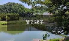 在梦中遇见骡子:探索心灵信息的神秘起源及其对潜意识世界的深刻解读