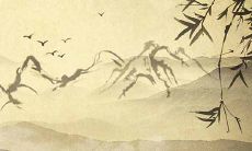 为何在清明节要进行扫墓及祭祖?探究祭祖行为的原因与意义