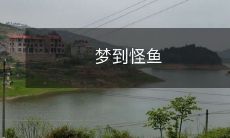 在梦境中遇见奇异多变的怪鱼,探究潜在的象征意义和心理寓意