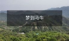 在梦中遇到马和牛:探索梦境中动物的象征意义