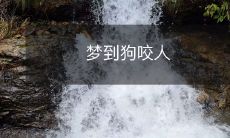 在梦中的幻觉中,目睹了一只狗猛然扑来,向着人类张开锋利的牙齿,展开惊心动魄的狂暴攻击!