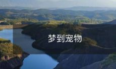 梦见拥有一只可爱宠物的美好经历:回忆让人感动,幻想真实与虚幻的界限模糊