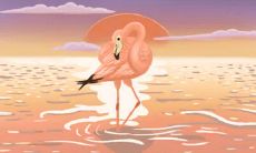 夏至临近,如何用祝福短信表达对亲友的美好愿望?