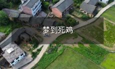 夜晚的幻想:突破常规梦境,探索生死之间的可能性,梦见摇晃的死亡鸡和难以解释的象征意义