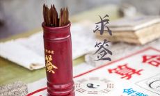 在未月诞生的丙火所展现的高层次特质的日柱