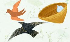 正月十五出生的女孩命运如何2023年 细心体贴孝敬父母