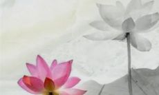 2023兔年5月开张黄道吉日查询 最旺开业吉日一览表