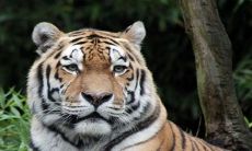 2022年节日大全一览 下半年有哪些特殊的日子