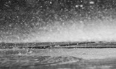 出梅是几月几日2022 入梅的时间