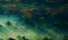 正月初十出生的女孩命好吗2023年 兔宝宝命苦是真的吗