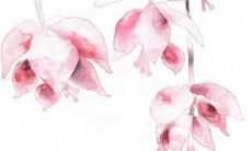 2023年公历6月最吉利的动土日子 6月最佳动工好日子