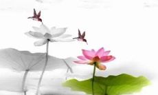 2023年春分可以动土吗 今天是动土大吉日期吗