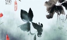 15万8千元的彩礼寓意 彩礼15万8千数字吉利嘛