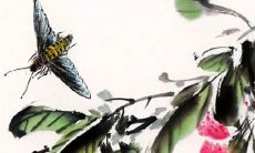 新娘回门带什么礼品 新媳妇三天回门带什么礼物