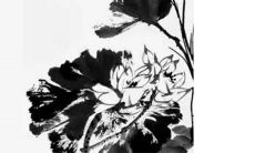 2023年5月19日是提车好日子吗 老黄历查询