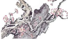 2023年5月5日可以提新车吗 是提车好日子吗