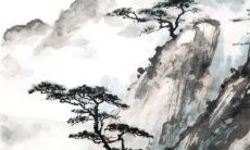 2023年5月9日提车日子好吗 适不适合买新车