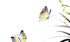 2023年5月13日可以提车吗 日子好不好