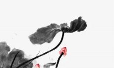 2023年5月23日适宜提车吗 这天日子如何