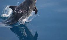 男孩应睡哪个房间风水好 孩子的房间最好布置在东方