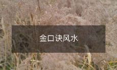 金口诀风水