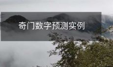 奇门数字预测实例